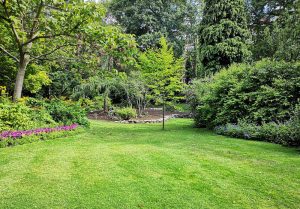 Optimiser l'expérience du jardin à Raon-aux-Bois